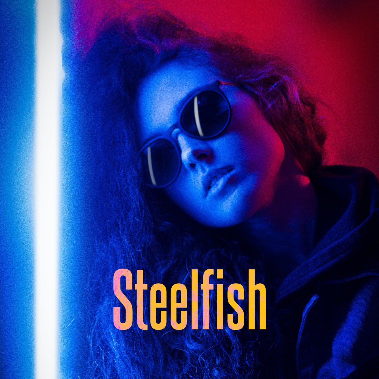 دانلود فونت انگلیسی Steelfish