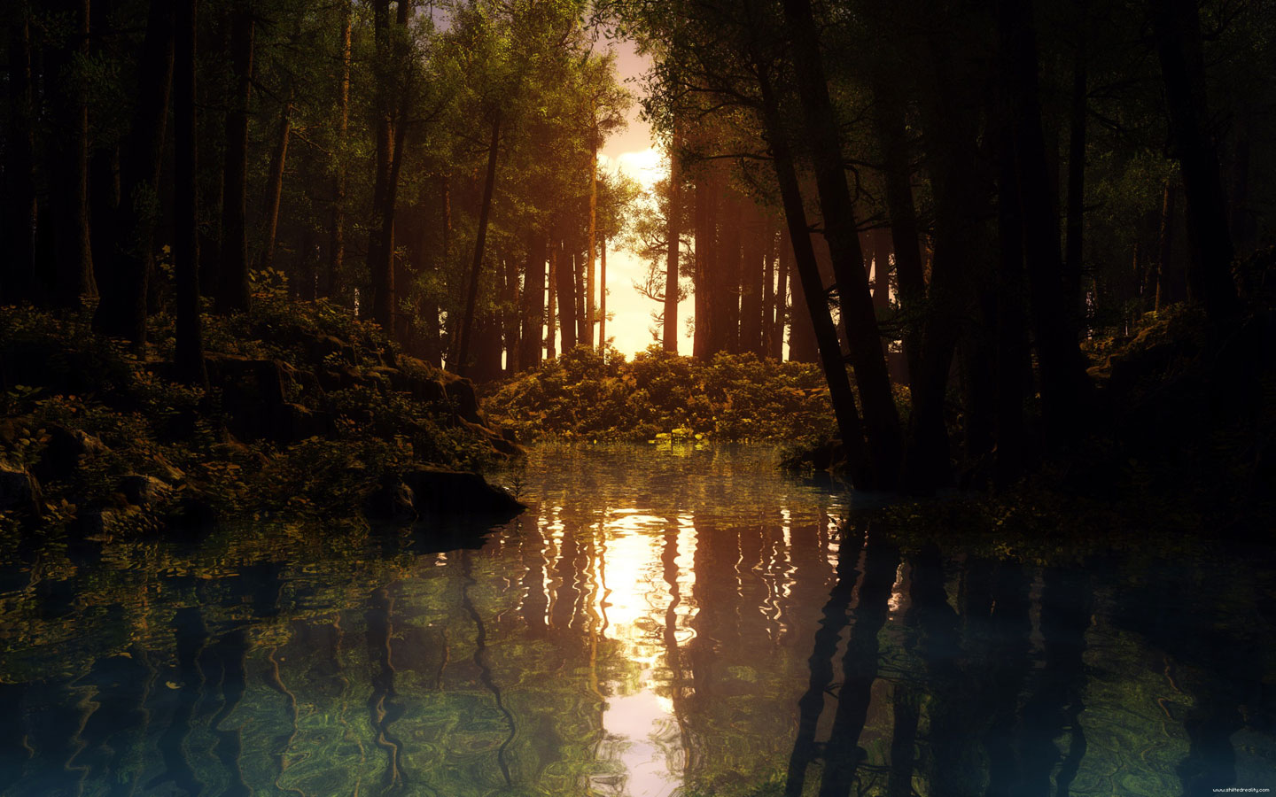 دانلود تصویر باکیفیت انعکاس درختان در آب برکه