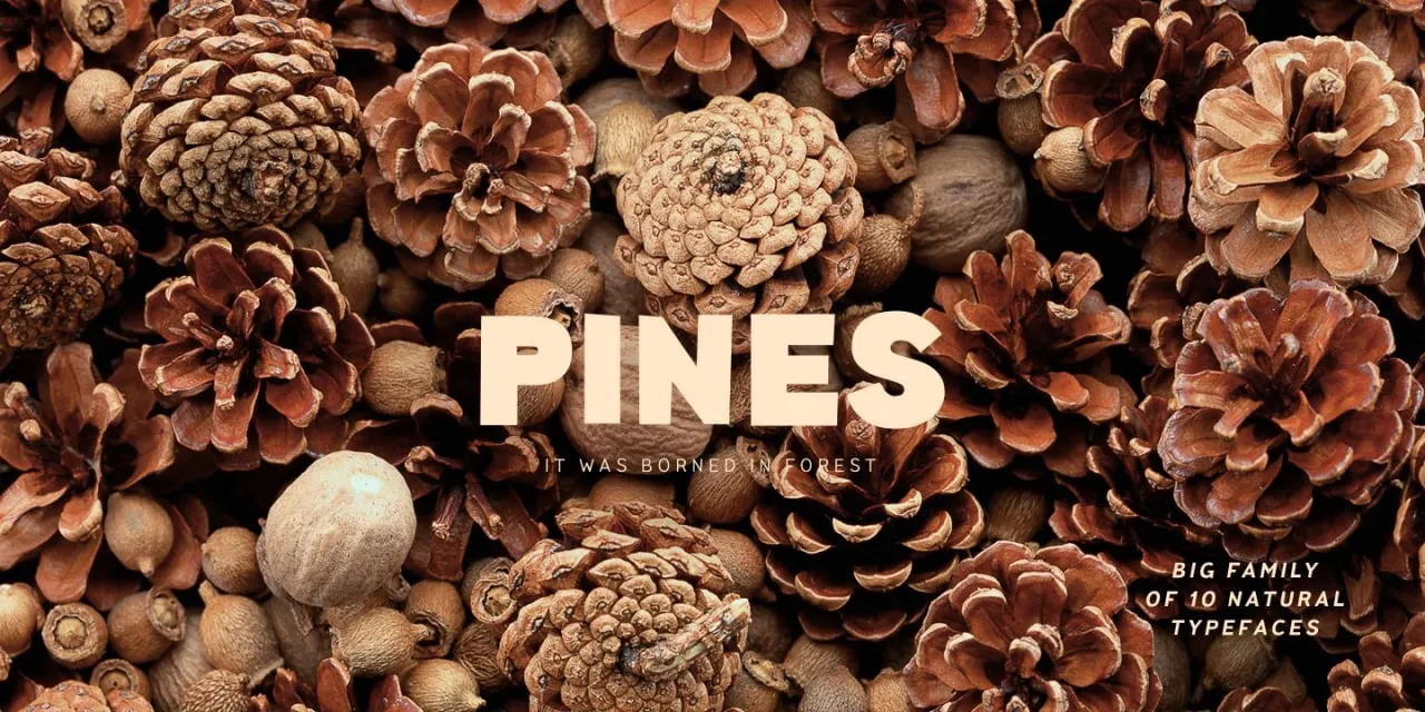 دانلود فونت زیبای Pines
