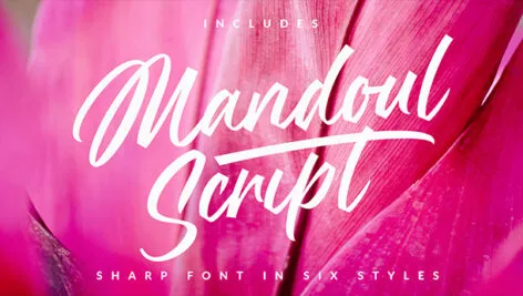 فونت Script دانلود فونت انگلیسی mandoul_script - فروشگاه فونت گراپیک